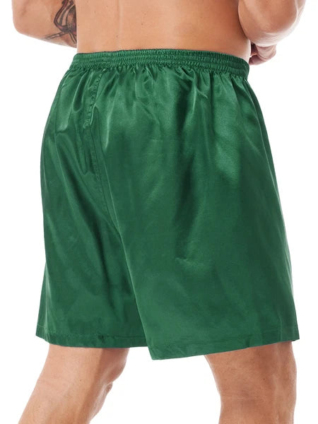 Mens Shiny Satin Pajamas Set Short Sleeves Button Down Shirt with Boxer Short